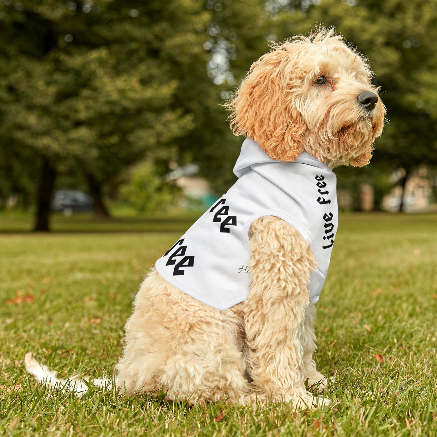 Live Free Ride Free - Pet Hoodie
