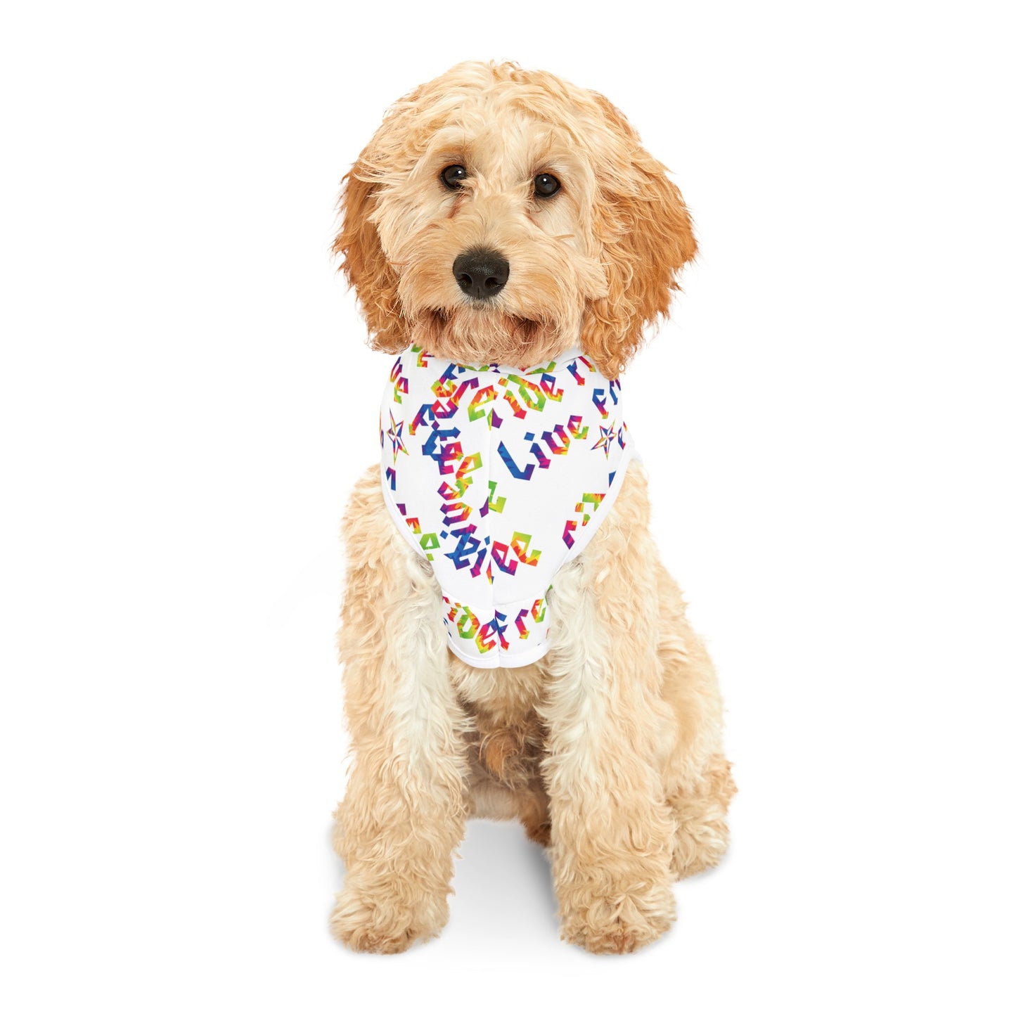 Live Free Ride Free Tie Dye Pet Hoodie